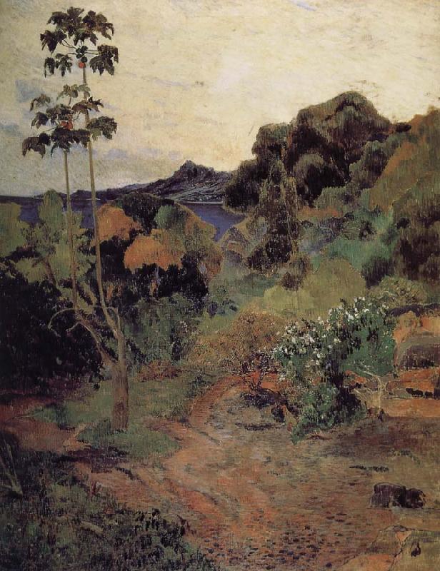Paul Gauguin Martinique tropical plants Sweden oil painting art